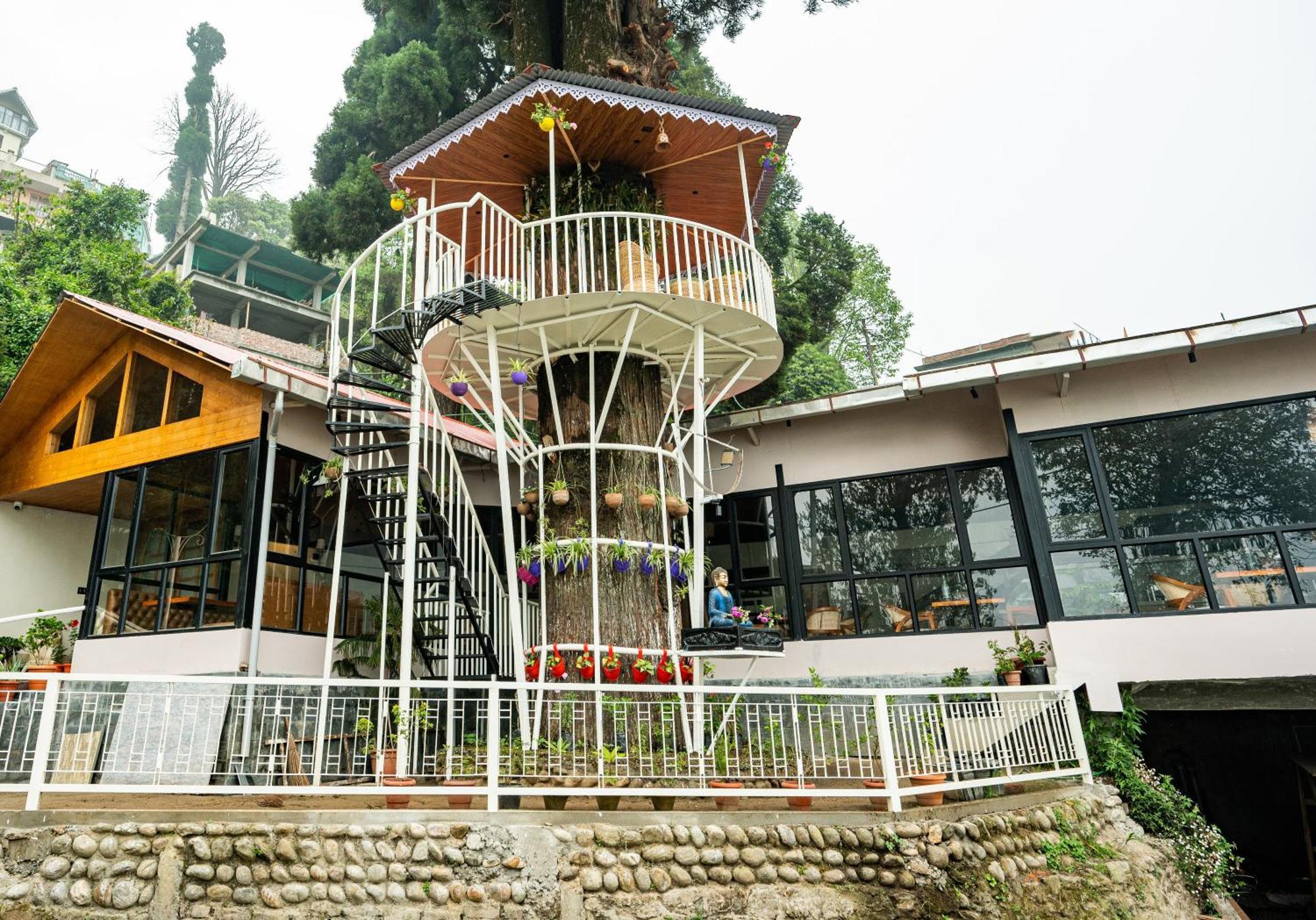 Arcadia Heritage Resort Darjeeling  Eksteriør bilde